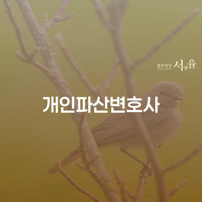 신용불량자자동차 개인회생 처리방법 잘하는 사무소