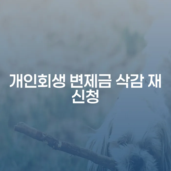 개인회생 변제금 삭감 재신청, 어떻게 해야 할까요?
