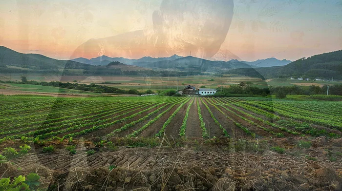 채무 감면 혜택